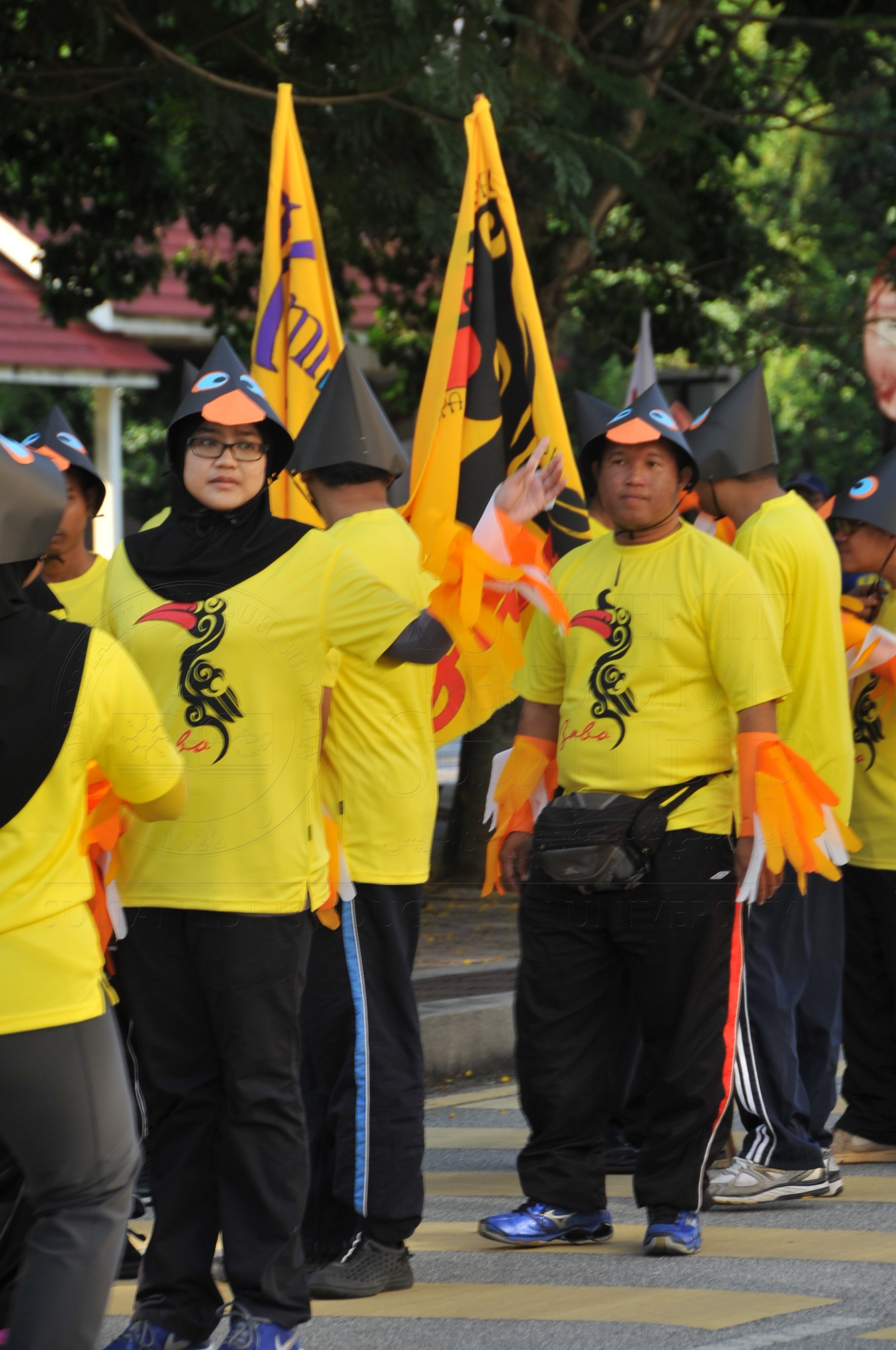 PRO 15 53 KIESTA HAS 3417